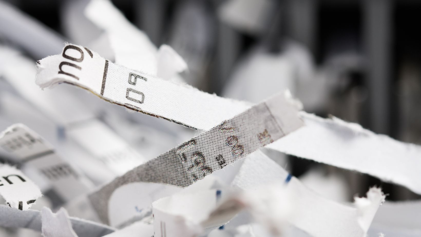 The Importance Of Using Document Shredding